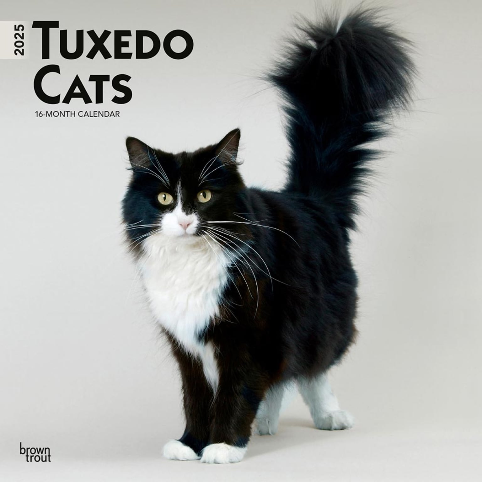 2025 BrownTrout Tuxedo Cats 12 x 12 Monthly Square Wall Calendar (9781975477905)
