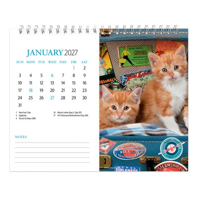 2027 BrownTrout Kittens 7.5" x 6" Monthly Wall Calendar, Assorted Colors (9798330709373)