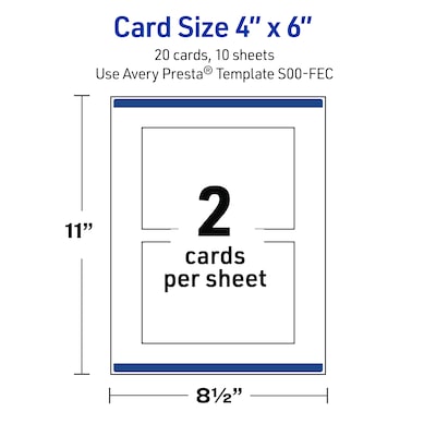 Avery Gold-Blue Border Berries Matte Blank Card, White, 20/Pack (S00-FEC)