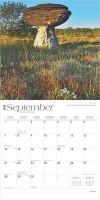 2025 BrownTrout America 12" x 12" Monthly Square Wall Calendar (9781975474447)