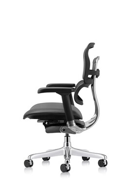 Eurotech Ergohuman Gen2 Mid Back Mesh Office Chair, Black (LEM6ERGLO-GEN2)