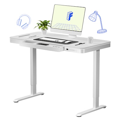 FlexiSpot EW2 48W Electric Adjustable Standing Desk, White (EW2W-E)