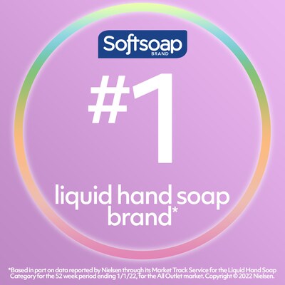 Softsoap Antibacterial Liquid Hand Soap, White Tea & Berry Fusion, 11.25 Oz. (US03574A)