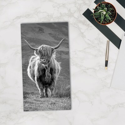 2026-2028 Willow Creek Highland Cows 3.5" x 6.5" Monthly Pocket/Wallet Calendar, Assorted Colors (66744)