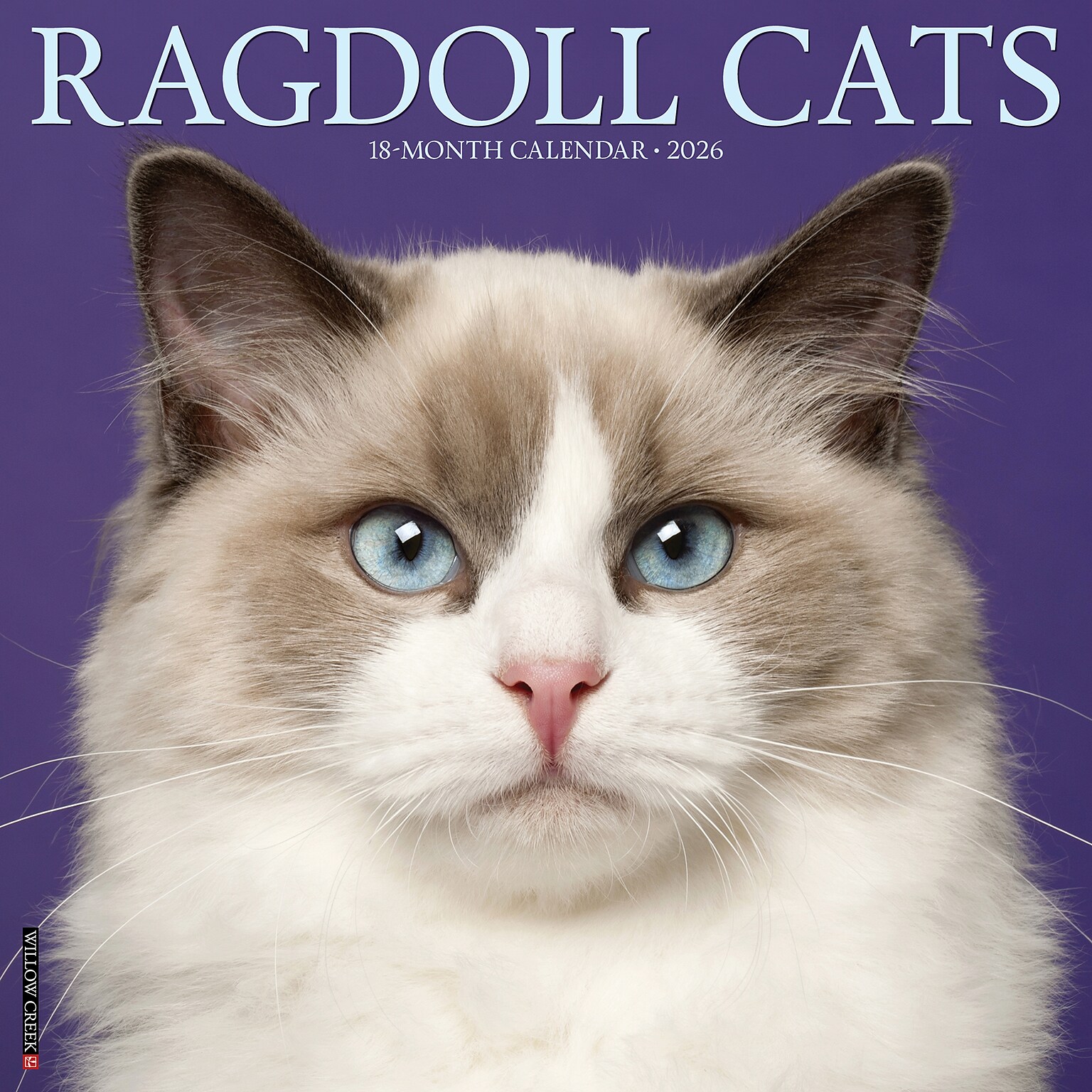 2026 Willow Creek Ragdoll Cats 12 x 12 Monthly Wall Calendar (52549)