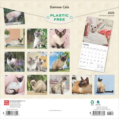 2025 BrownTrout Siamese Cats 12 x 12 Monthly Wall Calendar (9781975477769)