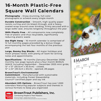 2026 BrownTrout Honey Bunny 12" x 12" Monthly Wall Calendar (9798330703654)