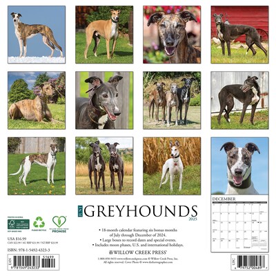 2025 Willow Creek Just Greyhounds 12 x 12 Monthly Wall Calendar (43233)
