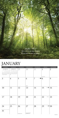 2027 Willow Creek God's Palette 12" x 12" Monthly Wall Calendar, Assorted Colors (60438)