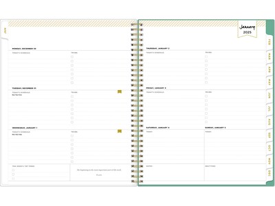 2025 Blue Sky Day Designer Peyton White 8.5 x 11 Weekly & Monthly Planner, Plastic Cover, Multicol