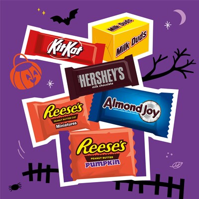 Hershey Assorted Flavored Candy Bulk Bag, 41.13 oz., 100 Pieces (HEC45884)