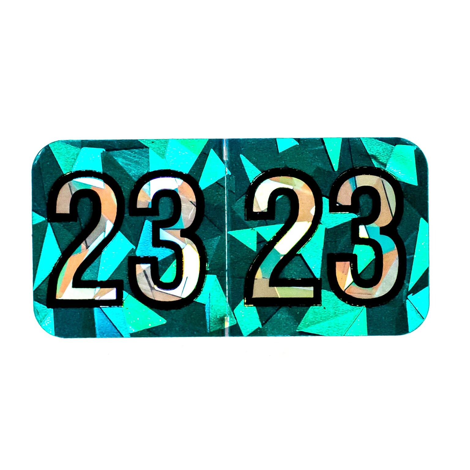 Medical Arts Press Holographic End-Tab 2023 Year Label, 1-1/2 x 3/4, Aqua, 500/Roll (0723HAQ)