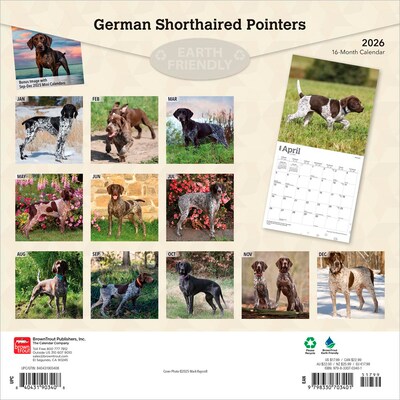 2026 BrownTrout German Shorthaired Pointers 12 x 12 Monthly Wall Calendar (9798330703401)