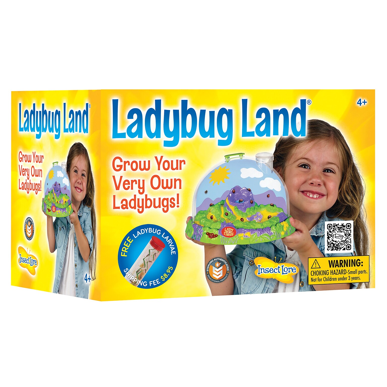 Insect Lore Ladybug Land Hatching Kit (ILP2100)