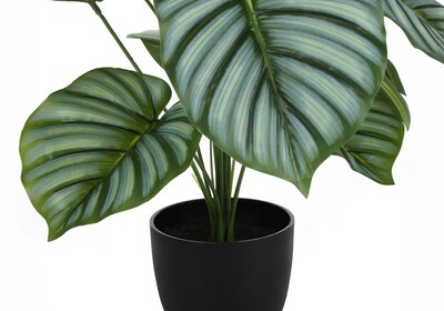 Monarch Specialties Inc. 24" Artificial Calathea Plant in Pot (I 9577)