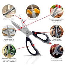 Better Kitchen Products Stainless Steel Multipurpose Kitchen Shears with Detachable Blades, 9, Blac