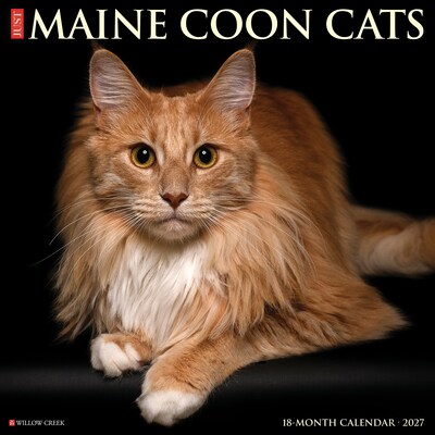2027 Willow Creek Maine Coon Cats 12 x 12 Monthly Wall Calendar, Assorted Colors (61121)
