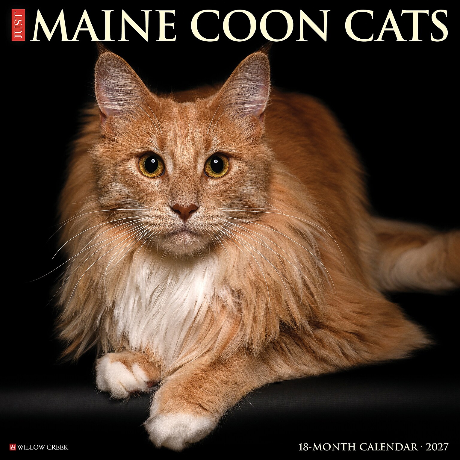 2027 Willow Creek Maine Coon Cats 12 x 12 Monthly Wall Calendar, Assorted Colors (61121)