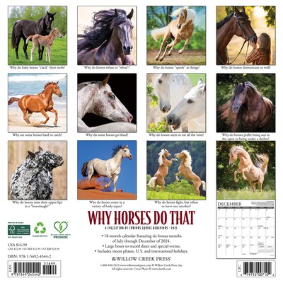 2025 Willow Creek Why Horses Do That 12 x 12 Monthly Wall Calendar (45442)