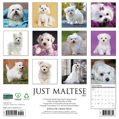 2027 Willow Creek Maltese 12 x 12 Monthly Wall Calendar, Assorted Colors (61152)