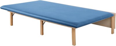 Viva Comfort Therapy Wall Mounted Folding Treatment Table, 500 lbs. Capacity, Blue (ADI996-06-BLU-MK)