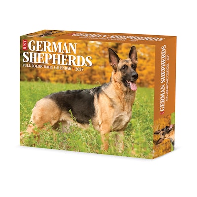 2025 Willow Creek German Shepherds 6 x 5.5 Day-to-Day Calendar, Multicolor (40843)