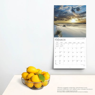 2025 BrownTrout Poland 12" x 12" Monthly Wall Calendar (9781975480714)
