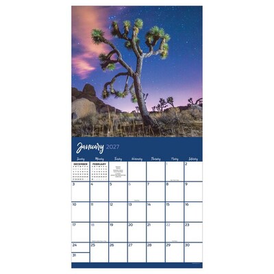 2027 TF Publishing Trees 10 x 12 Monthly Wall Calendar, Multicolored (27-1029)