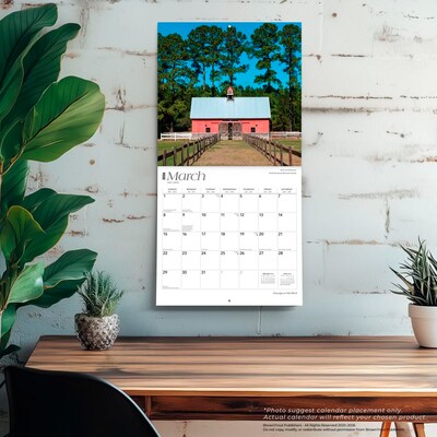 2026 BrownTrout Georgia on My Mind 12" x 12" Monthly Wall Calendar (9798330703333)