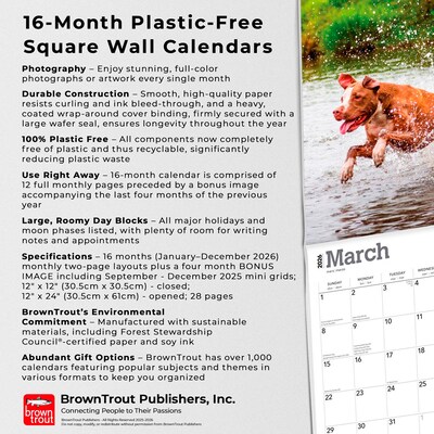 2026 BrownTrout American Pit Bull Terriers 12" x 12" Monthly Wall Calendar (9798330702091)