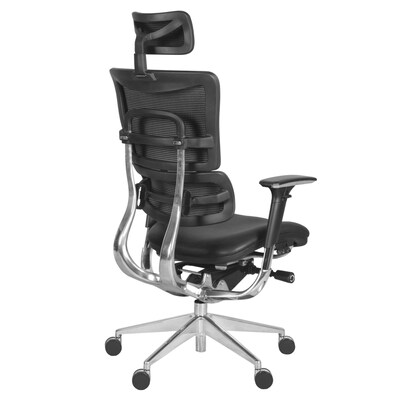 Regency Omega Ergonomic Leather Executive Office Chair w/ Headrest, Black (OMG004BK)