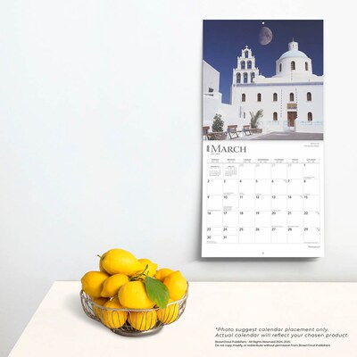 2025 BrownTrout Moonstruck 12" x 24" Monthly Square Wall Calendar (9781975477455)
