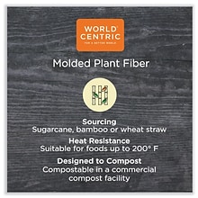 World Centric Fiber Hinged Container, Natural, 300/Carton (WORTOSCU9LFP)