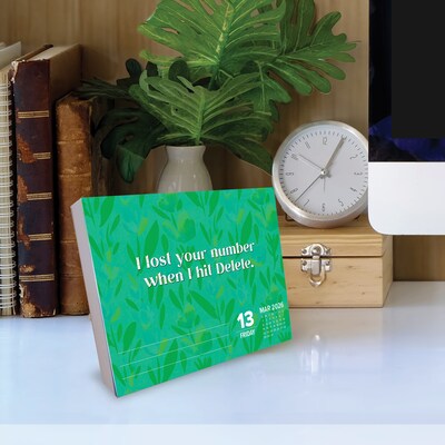 2026 Willow Creek Make Every Day Your Bitch 6.2" x 5.4" Day-to-Day Calendar (54291)