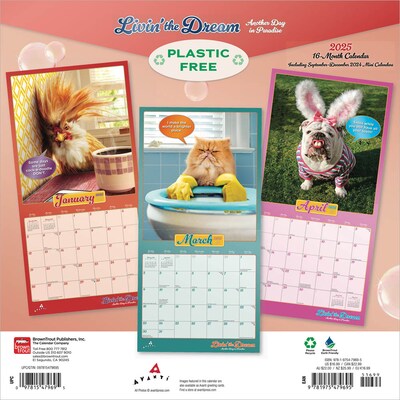 2025 BrownTrout Avanti Livin the Dream  12 x 12 Monthly Square Wall Calendar (9781975479695)