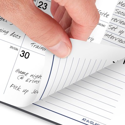 2026 AT-A-GLANCE DayMinder 5" x 8" Weekly & Monthly Planner, Plastic Cover, Gray (GC200-07-26)