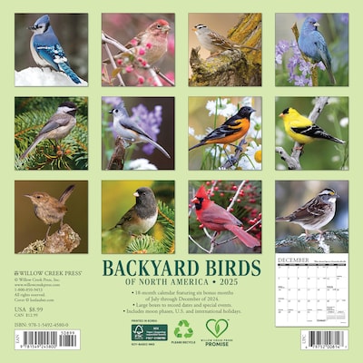 2025 Willow Creek 7" x 7" Monthly Wall Calendar, Multicolor (45800)
