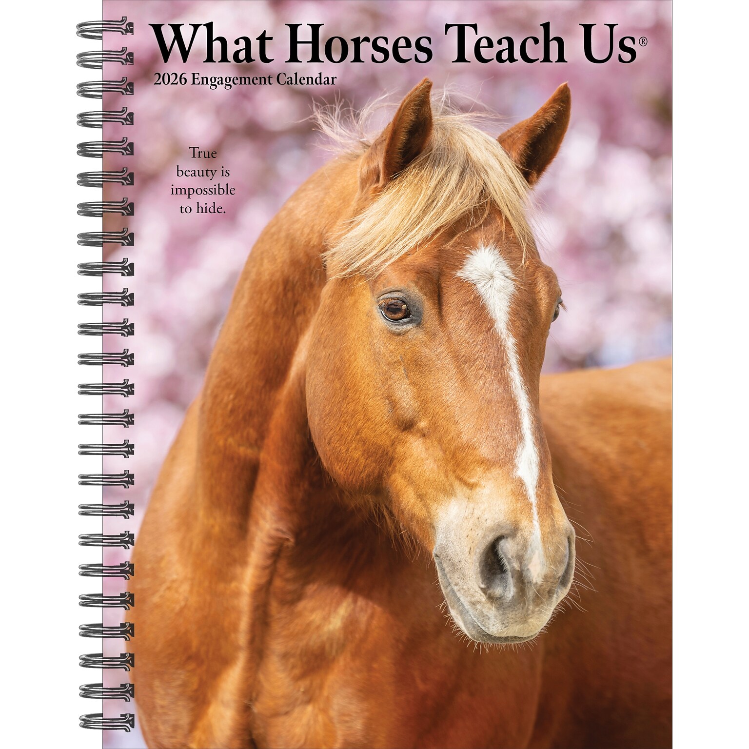 2026 Willow Creek What Horses Teach Us 6.5 x 8.5 Daily & Monthly Personal Organizer (54697)