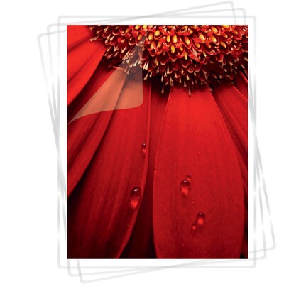 Fellowes Thermal Laminating Pouches Thermal & Cold Laminating Pouches, Letter Size, 5 Mil, 25/Pack (100138468)