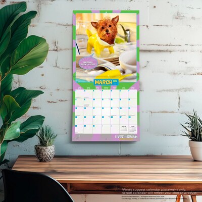 2026 BrownTrout Livin' the Dream 12" x 12" Monthly Wall Calendar (9798330701469)