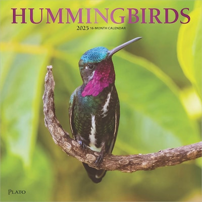 2025 Plato Hummingbirds 12 x 12 Monthly Wall Calendar (9781975479015)