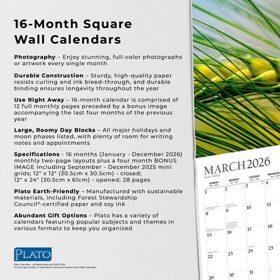 2026 Plato Simplicity 12" x 12" Monthly Wall Calendar (9798330706686)