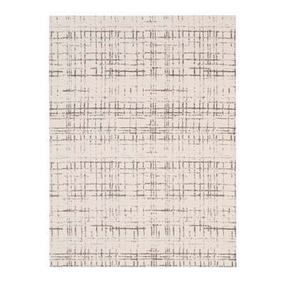 Anji Mountain Rugd Carpet & Hard Floor Chair Mat, 40 x 54, Camden Gray (AMB9044-4054)