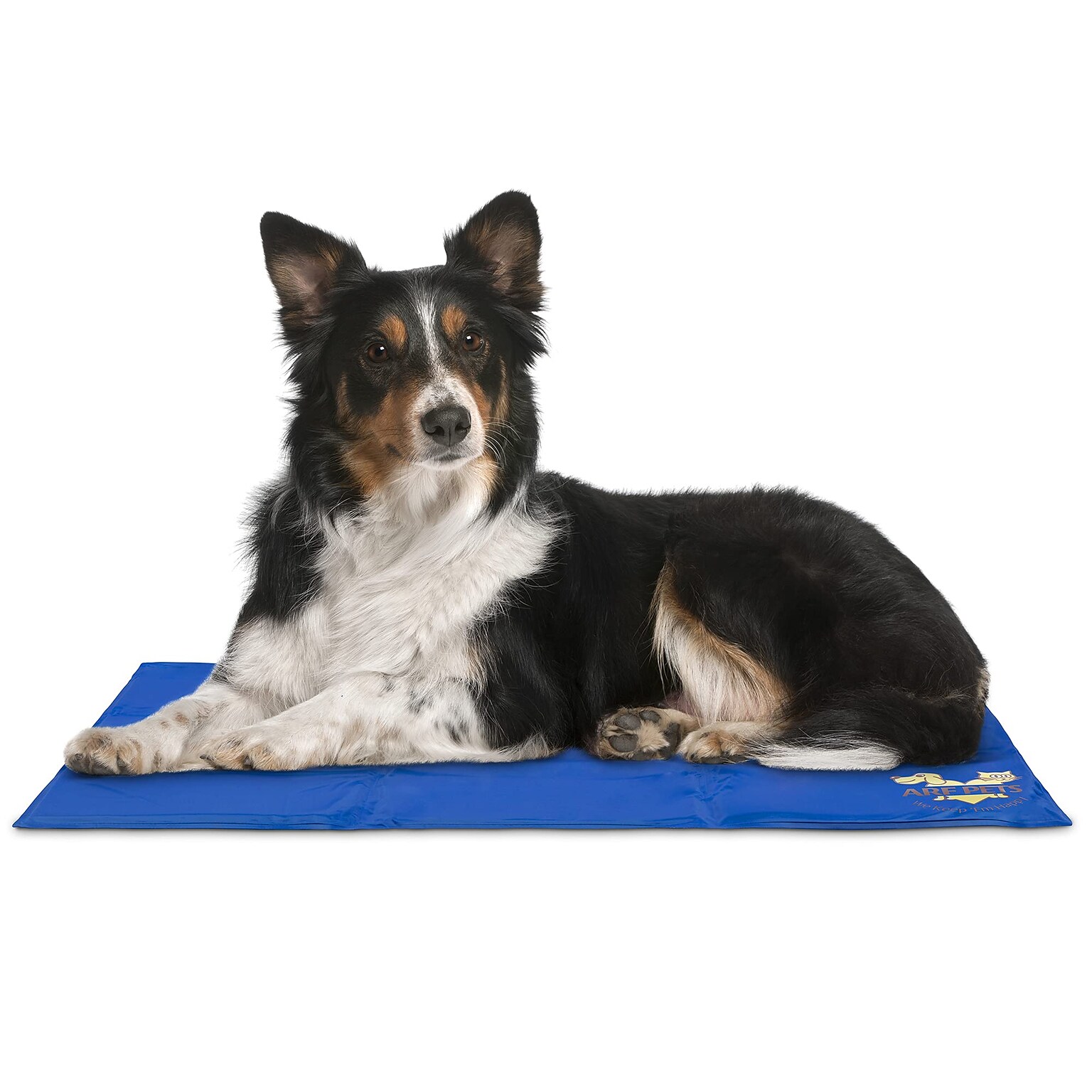 Arf Pets Non-Toxic Gel Dog Cooling Bed Mat for Kennels, 19 x 35, Blue (APCLPD0220)