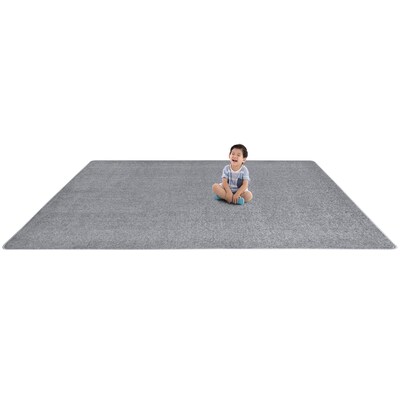 Joy Carpets Endurance Polyester 4' x 6' Machine Tufted Rug, Silver (80N-12)