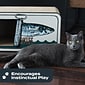 Park & Bench Unique Design Cat Scratcher, Cardboard  - Catalan (PPN600011)
