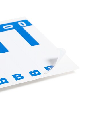 Alphabetical Character Labels, B And O, Dark Blue, 100/Pk