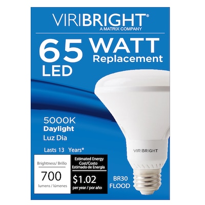 Viribright 8.5 Watts Daylight LED Floodlight Bulb, 8/Box (654697-8)