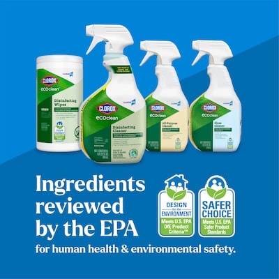 CloroxPro Clorox EcoClean Disinfecting Cleaner, 32 Oz. (60213)