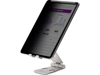 StarTech Anti-Glare Plastic Privacy Screen for 11" iPad Pro (11IP-PRIVACY-SCREEN)